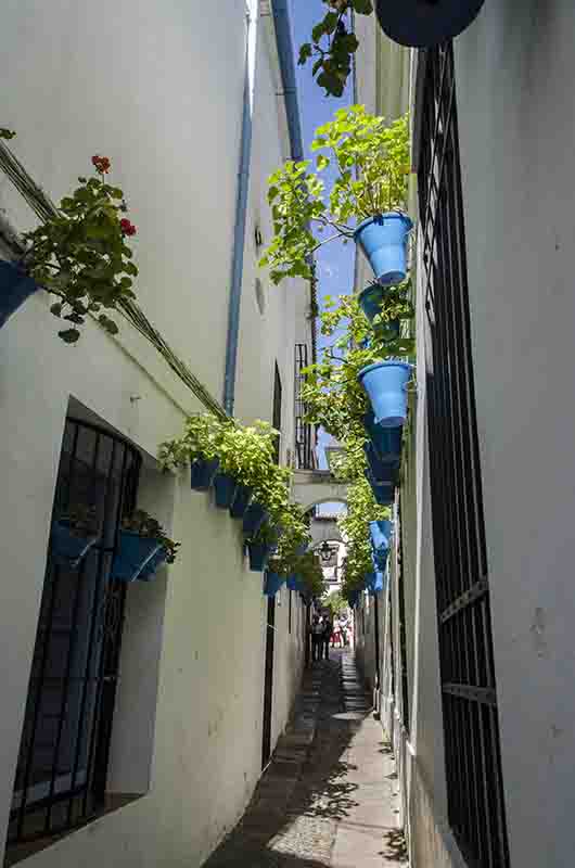 Córdoba 133 - la Juderia - calleja de las Flores.jpg